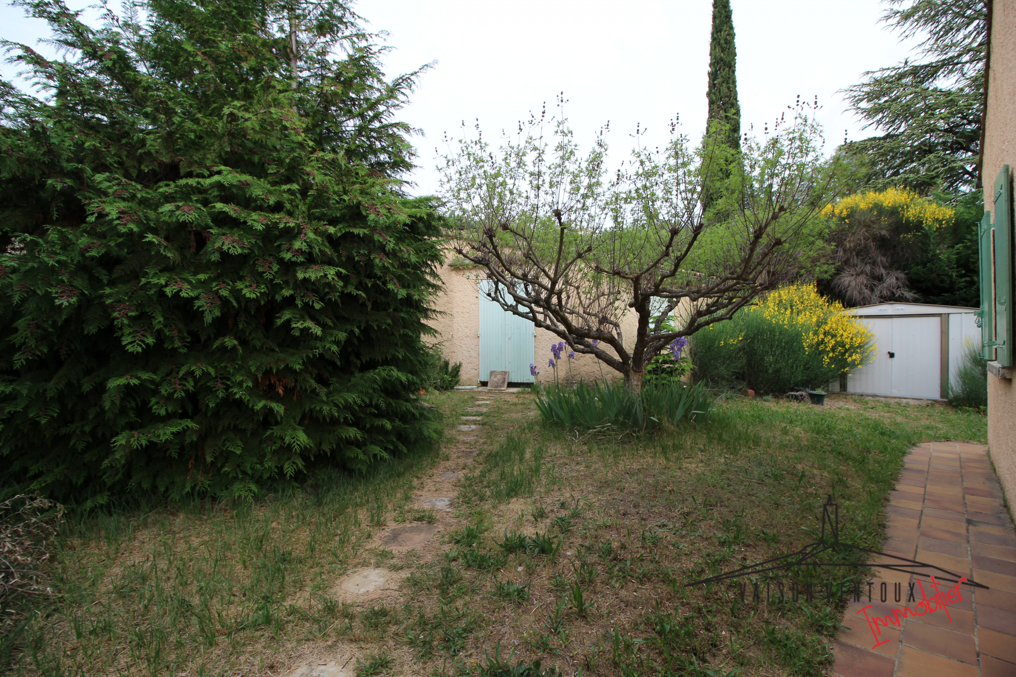 Image_17, Villa, Vaison-la-Romaine, ref :1168