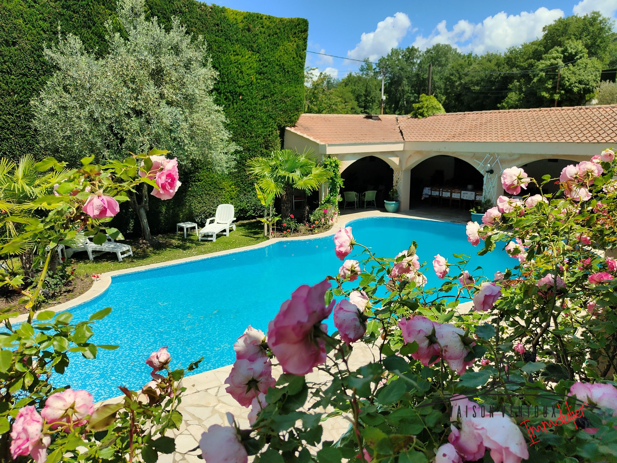 Agence immobilière de Vaison Ventoux Immobilier
