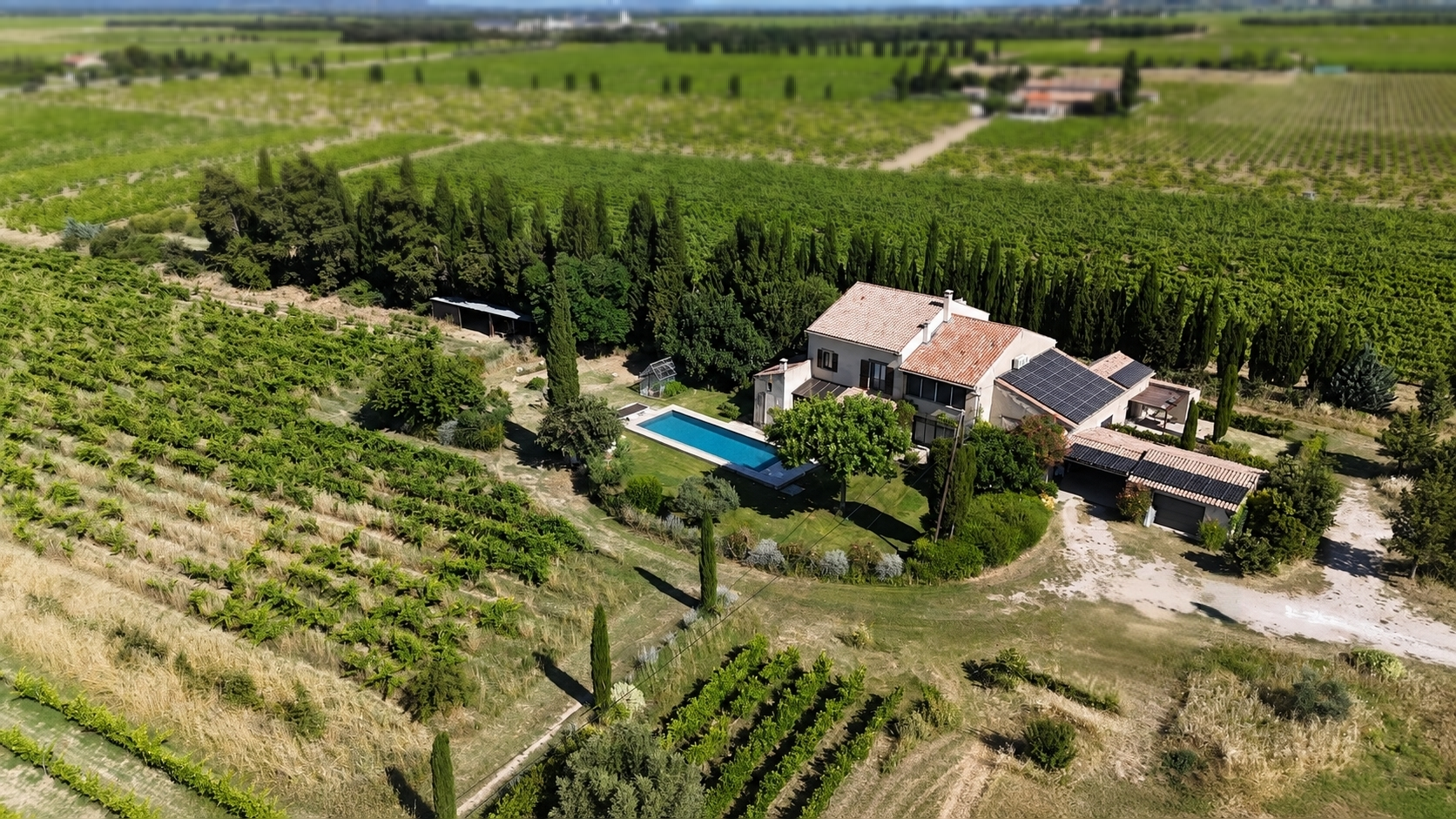 Domaine de caractère avec mas, gîte et vignes   Vue Dentelles de Montmirail